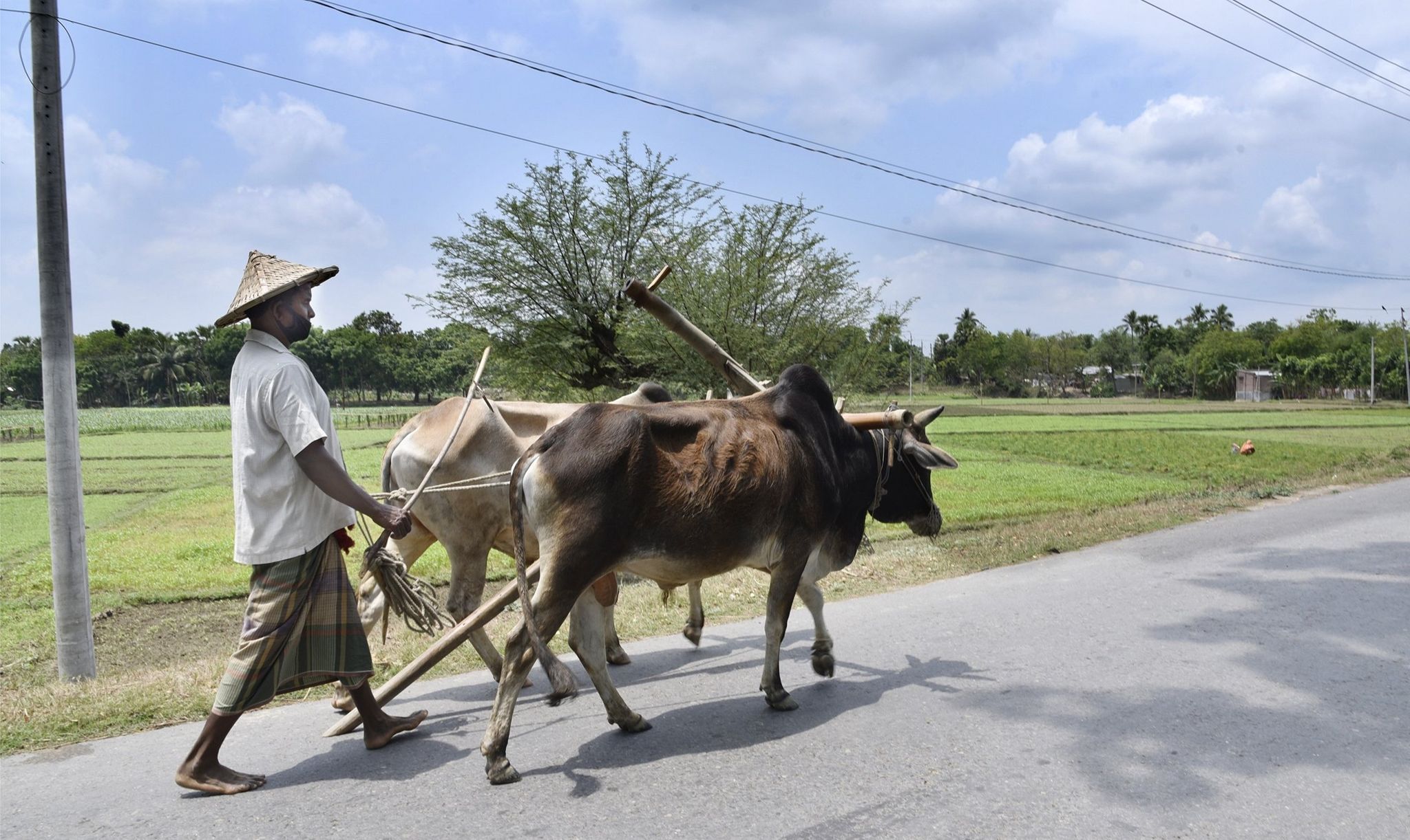 গ্রাম বাংলার অসাধারণ দৃশ্য